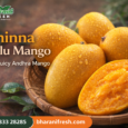 Fresh Chinna Rasalu mango from Andhra Pradesh orchard