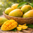 Fresh Chinna Rasalu mango from Andhra Pradesh orchard sweet juicy Rasalu mango