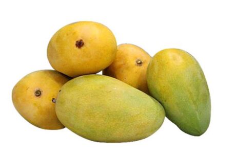 Chinna Rasalu Mango