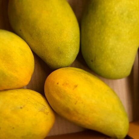 Pedda Rasalu Mango