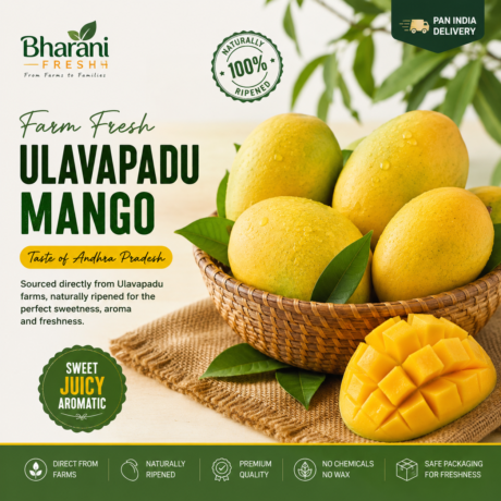 Fresh Ulavapadu Mango (Local Quality) – Farm Fresh Andhra Mangoes